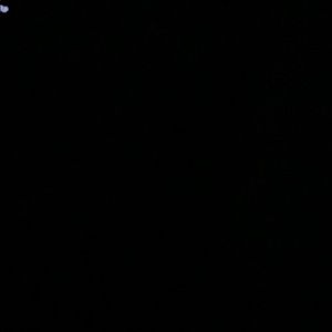 Meet your Posher, Liz